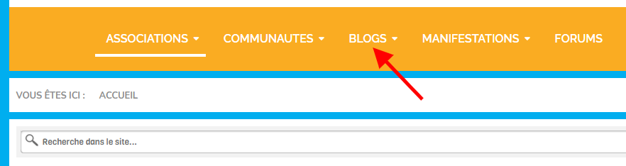 blogs lesitedesassociations.fr